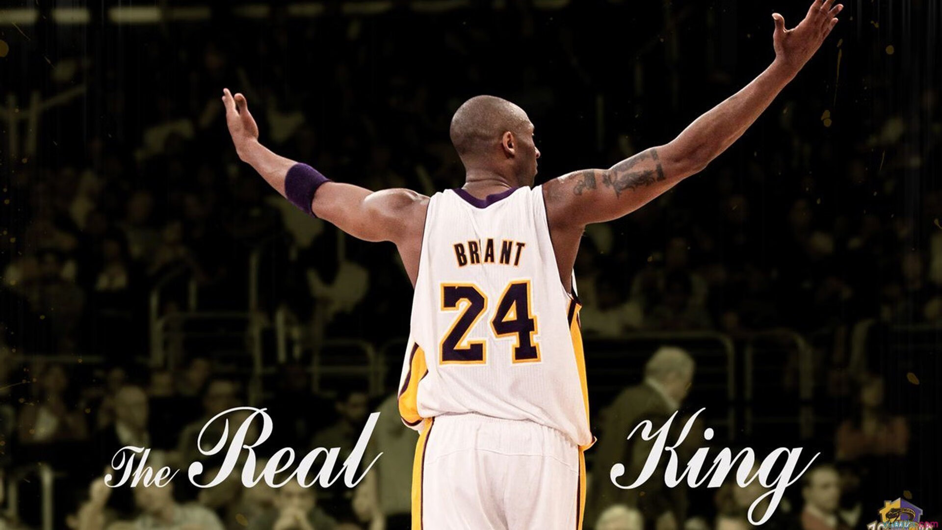 亚洲球队冲击世界杯16强，这3队最有希望，世界杯亚洲足球强队